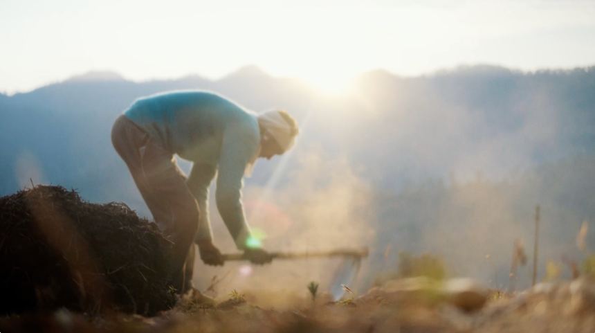 Farmer working at sunrise